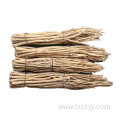 astragalus membranaceus health slice